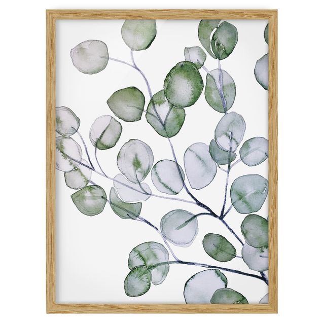 Poster con cornice - Ramo di eucalipto in acquerello verde