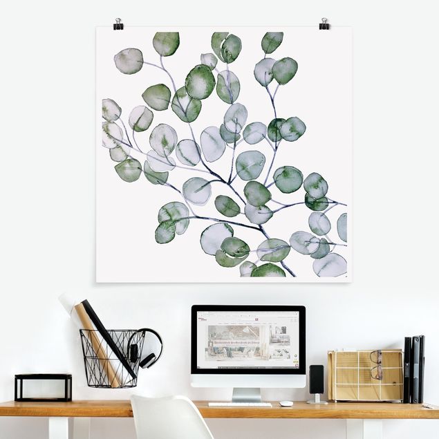 Poster acquerello Ramo di eucalipto verde ad acquerello