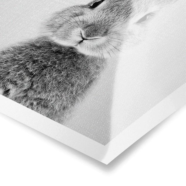 Poster riproduzione - Lepre Hilbert in bianco e nero