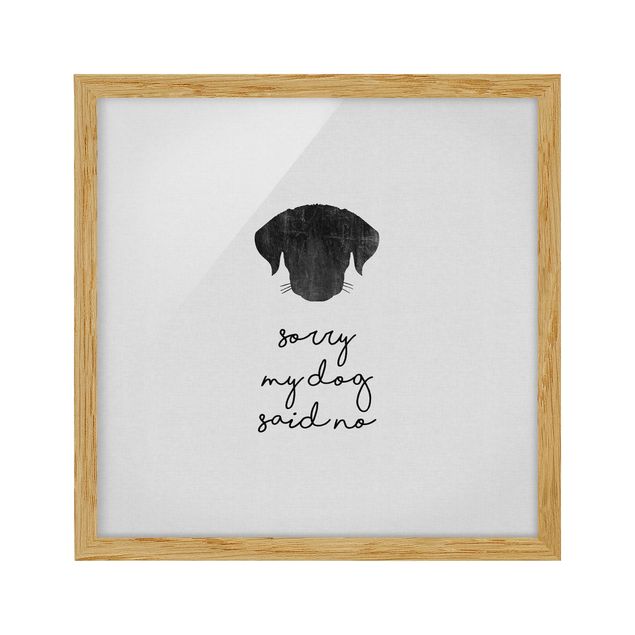 Poster con cornice - Citazione animale Sorry My Dog Said No