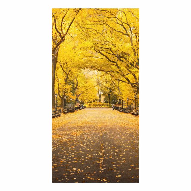 Stampa su Forex - Autunno in Central Park - Formato verticale 1:2