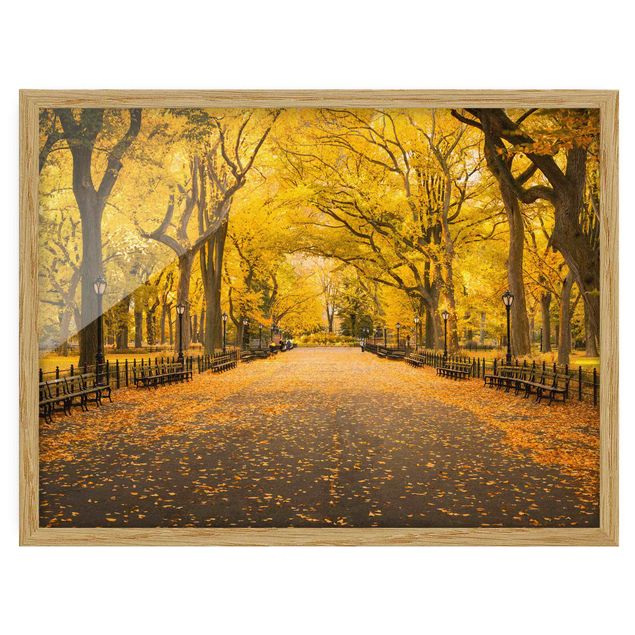 Poster con cornice - Autunno a Central Park