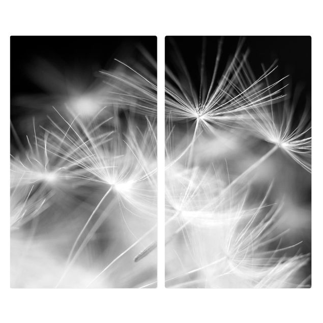 Coprifornelli in vetro - Moving Dandelions Close Up On Black Background