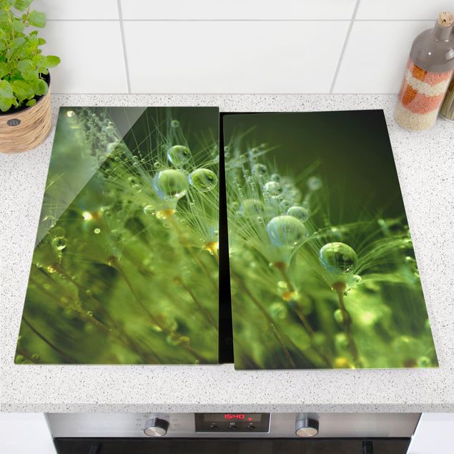 Coprifornelli in vetro - Semi verdi Sotto La Pioggia
