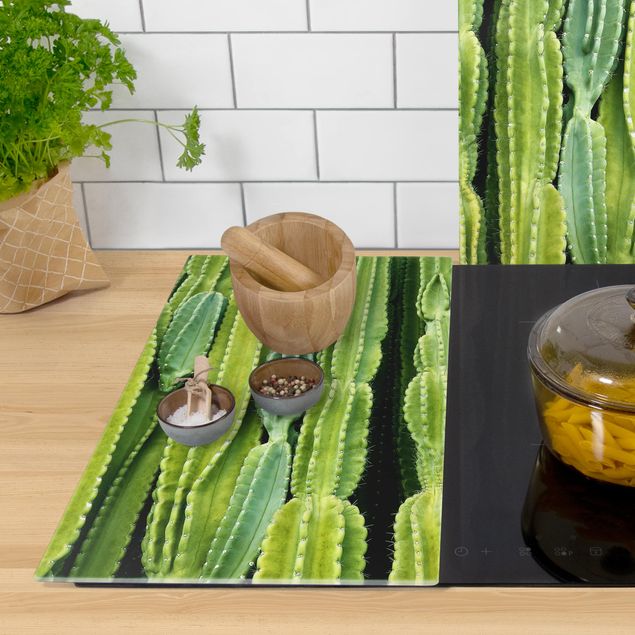 Coprifornelli in vetro - Cactus Wall