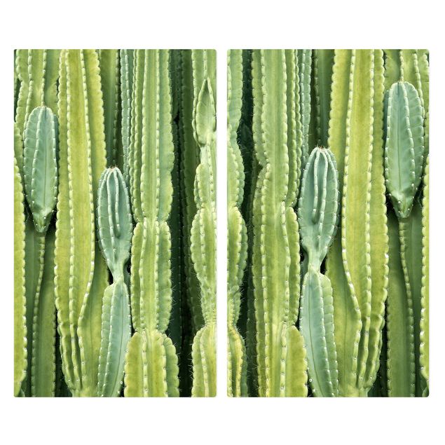 Coprifornelli in vetro - Cactus Wall