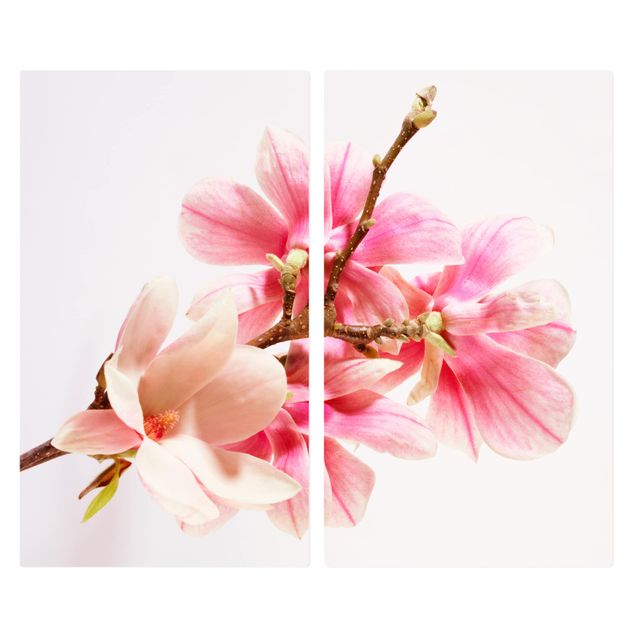 Coprifornelli in vetro - Magnolia Blossoms