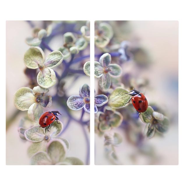 Coprifornelli in vetro - Ladybug In The Garden - 52x60cm