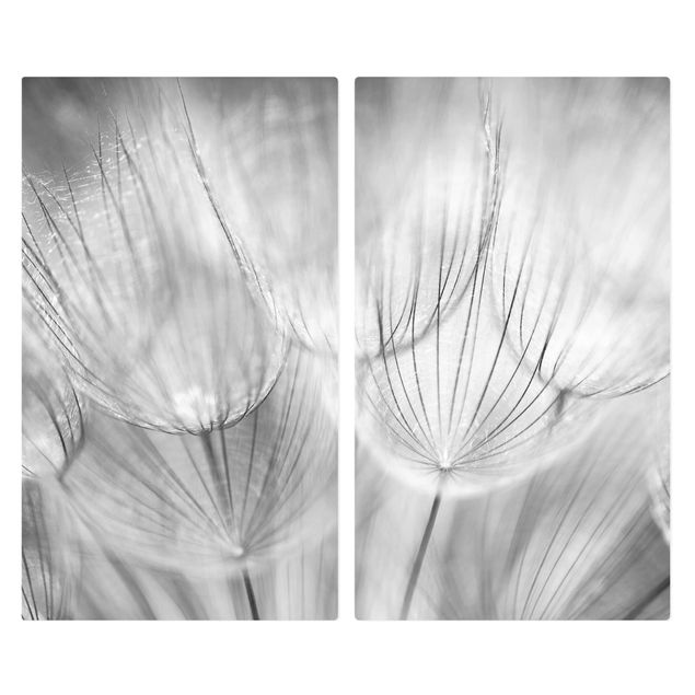 Coprifornelli in vetro - Dandelions Macro Shot In Black And White
