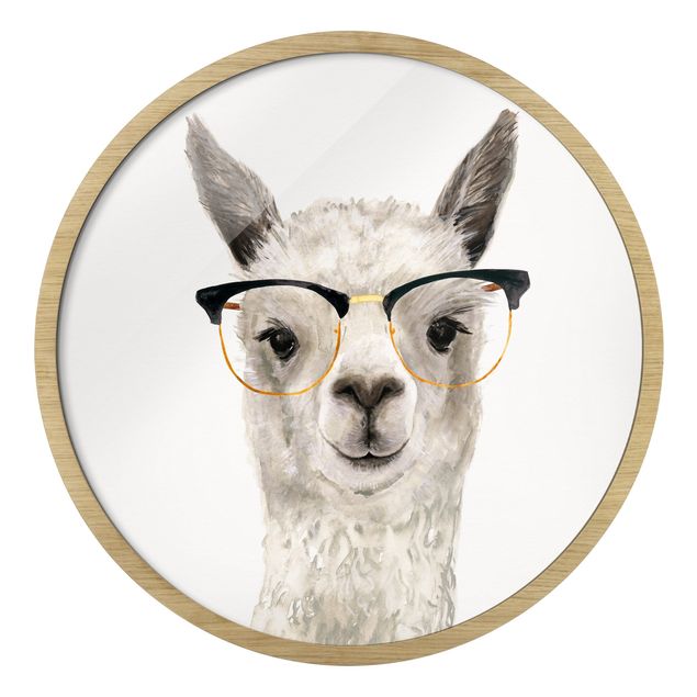 Quadro rotondo incorniciato - Lama alla moda con occhiali I