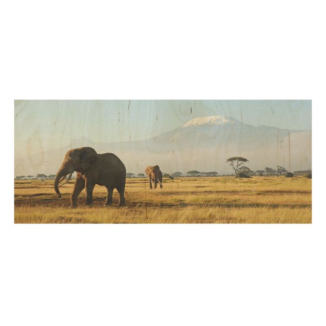 Quadro in legno - Elephants in front of the Kilimanjaro in Kenya - Panoramico