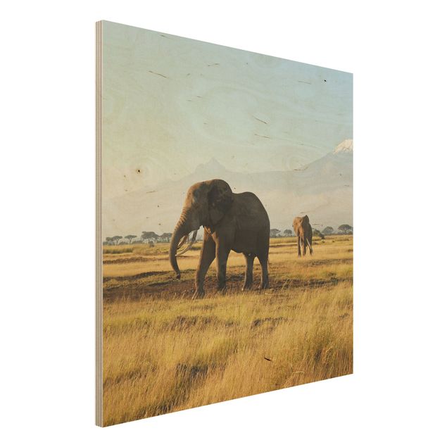 Quadro in legno - Elephants in front of the Kilimanjaro in Kenya - Quadrato 1:1