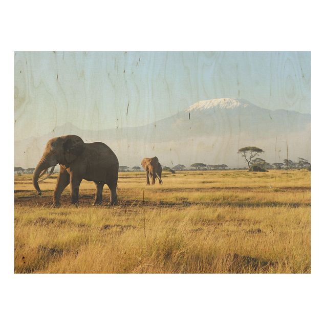 Quadro in legno - Elephants in front of the Kilimanjaro in Kenya - Orizzontale 4:3