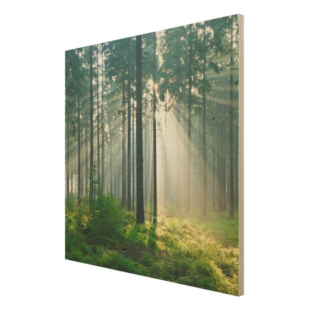 Quadro in legno - Enlightened Forest - Quadrato 1:1