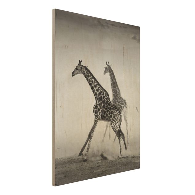 Quadro in legno - Giraffe hunting - Verticale 3:4