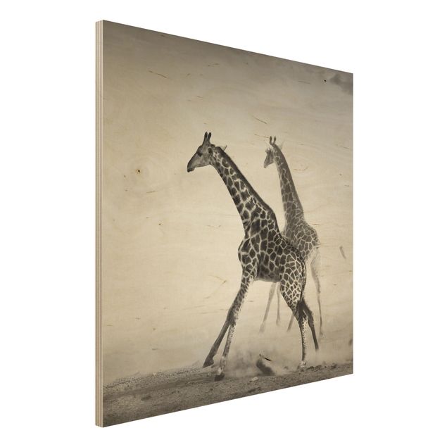 Quadro in legno - Giraffe hunting - Quadrato 1:1