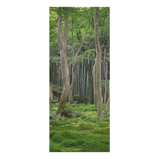 Quadro in legno - Japanese Forest - Pannello
