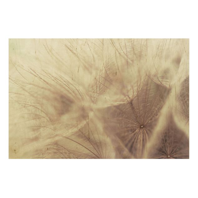 Quadro in legno - Detailed dandelions macro shot with vintage blur effect - Orizzontale 3:2