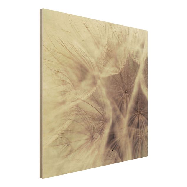 Quadro in legno - Detailed dandelions macro shot with vintage blur effect - Quadrato 1:1