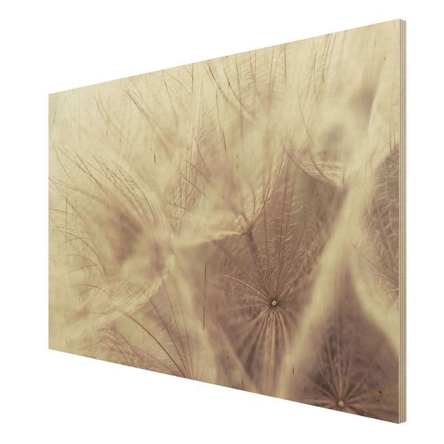 Quadro in legno - Detailed dandelions macro shot with vintage blur effect - Orizzontale 3:2