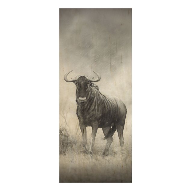 Quadro in legno - Staring Wildebeest - Pannello
