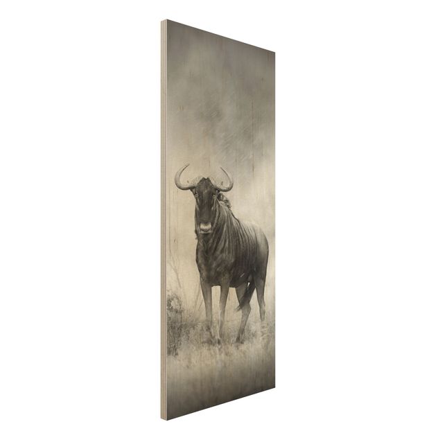 Quadro in legno - Staring Wildebeest - Pannello