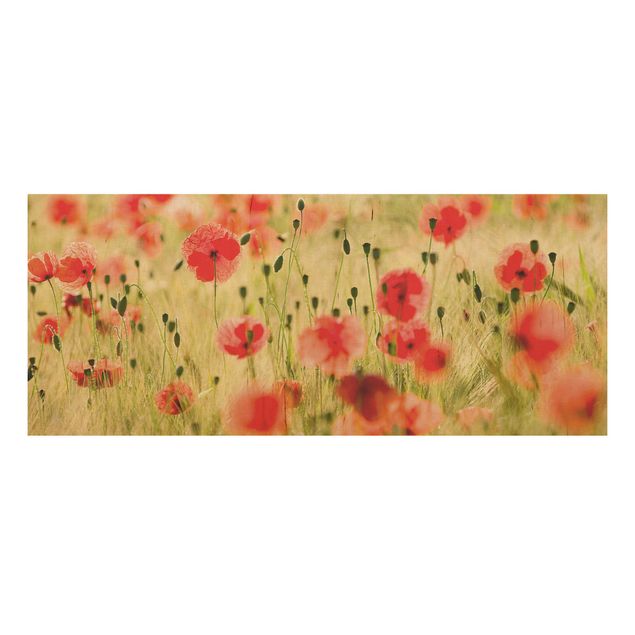 Quadro in legno - Summer Poppies - Panoramico