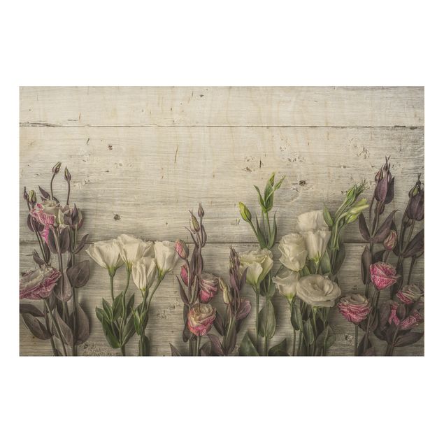 Quadro in legno - Tulip Pink Shabby wood optic - Orizzontale 3:2