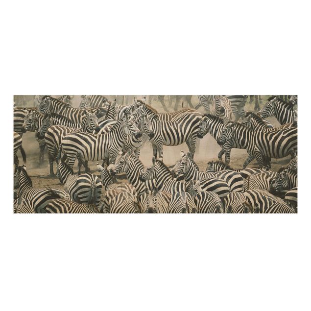 Quadro in legno - Zebra herd - Panoramico