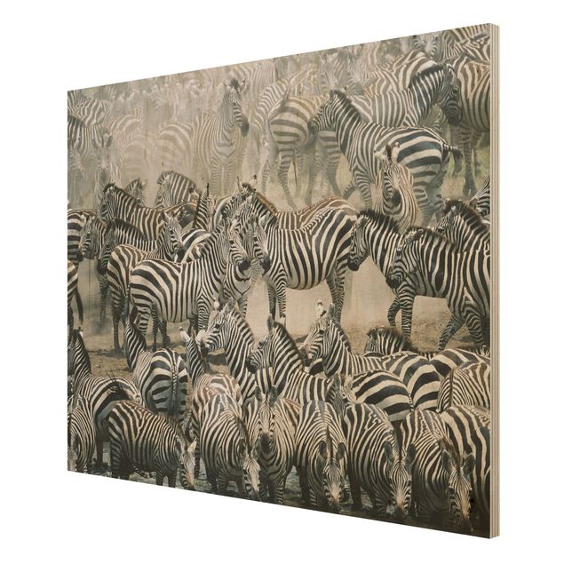 Quadro in legno - Zebra herd - Orizzontale 4:3