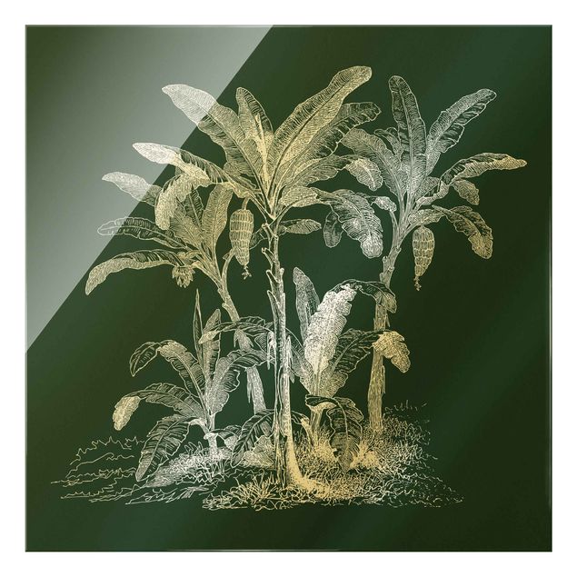 Quadro in vetro - Illustrazione di palme di banano su verde - Quadrato