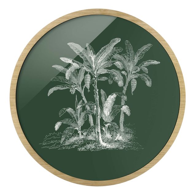 Quadro rotondo incorniciato - Illustrazione di palme di banano su verde