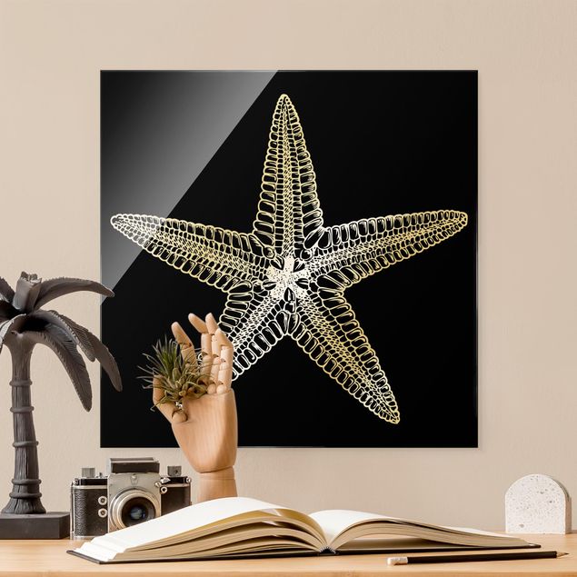 Lavagna magnetica vetro Illustrazione di una stella marina in nero