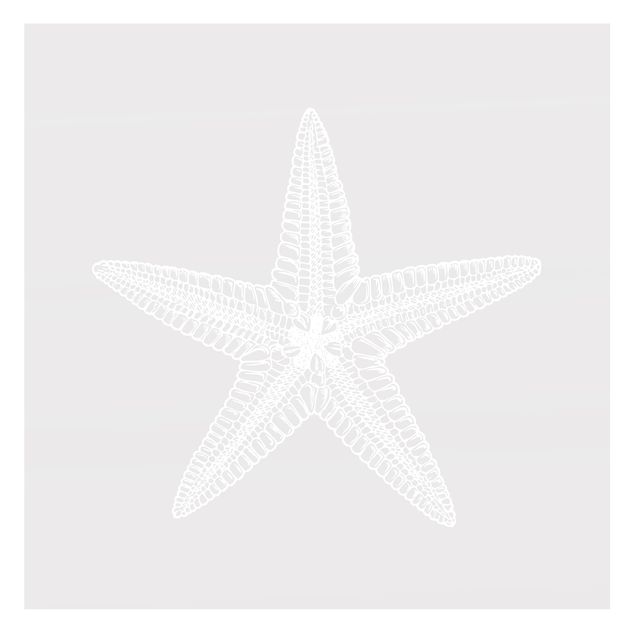 Pellicole per vetri - Illustrazione di una stella marina