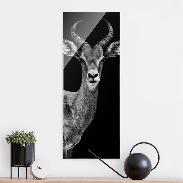 Quadri animali Antilope Impala in bianco e nero