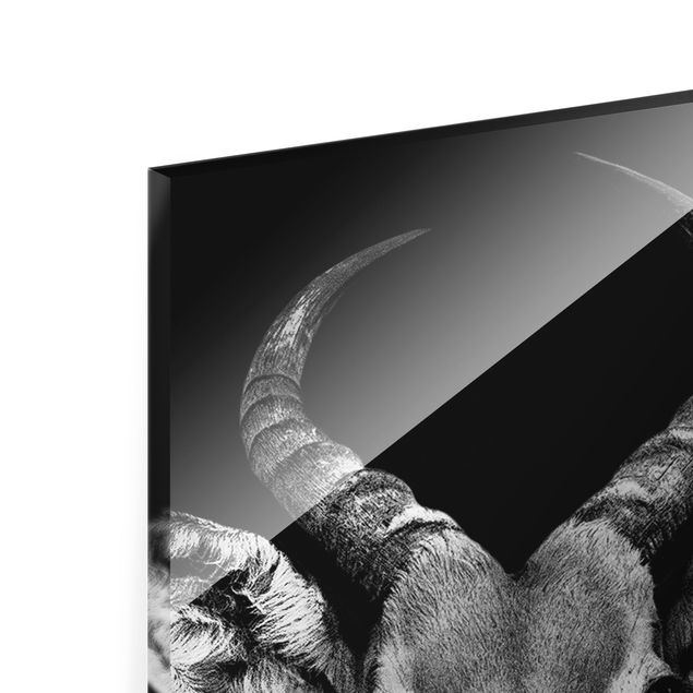 Quadro in vetro - Impala Antilope in bianco e nero - Formato verticale