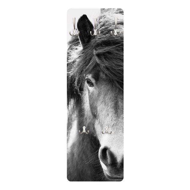 Appendiabiti - Cavallo d'Islanda in bianco e nero