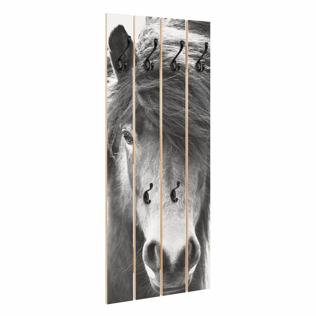 Appendiabiti in legno - Cavallo d'Islanda in bianco e nero