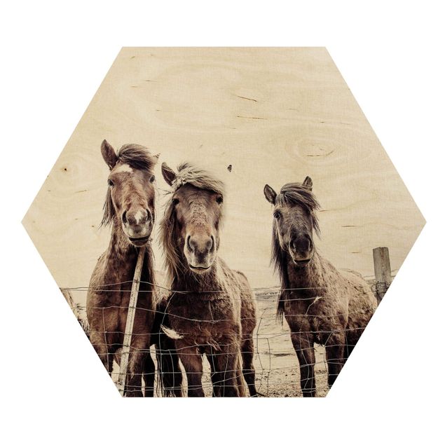 Esagono in legno - Cavallo d'Islanda