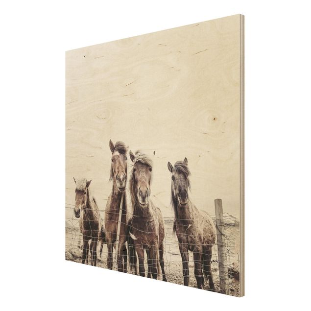 Stampa su legno - Cavallo d'Islanda