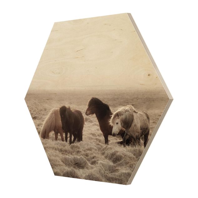 Esagono in legno - Cavallo selvaggio d'Islanda