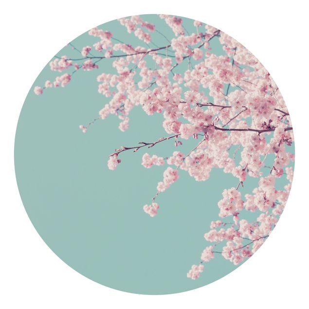 Carte da parati rotonde - Fiore di ciliegio giapponese