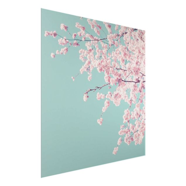 Quadro in vetro - Fiore di ciliegio giapponese