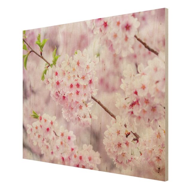 Stampa su legno - Fioriture di ciliegio giapponesi