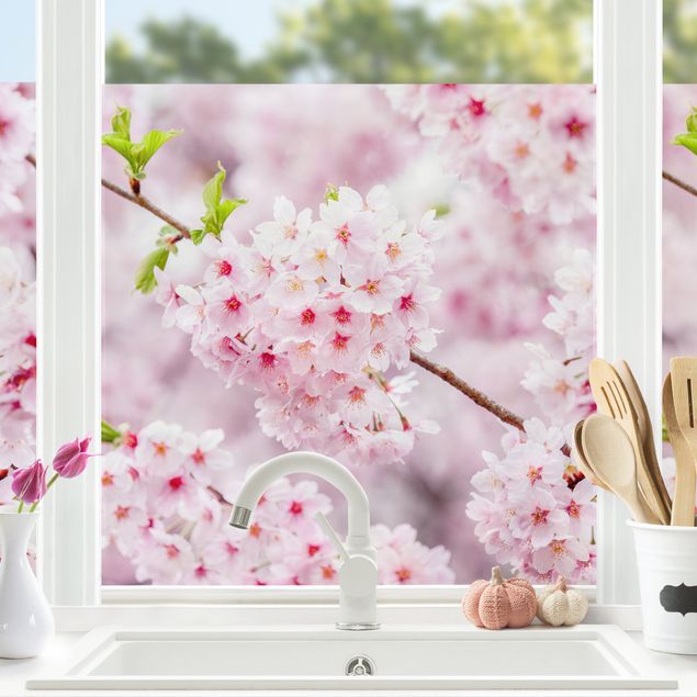 Pellicola per vetri con erbe Fioriture di ciliegio giapponesi