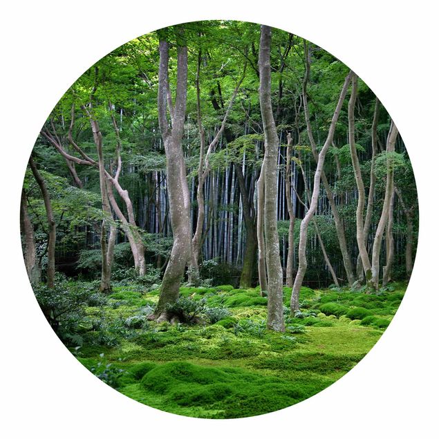 Carta da parati rotonda autoadesiva - foresta giapponese