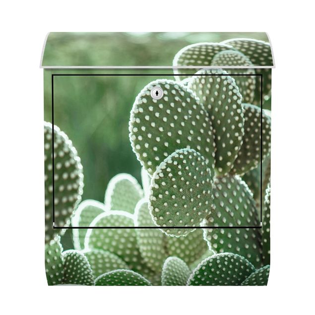 Cassetta postale - Cactus