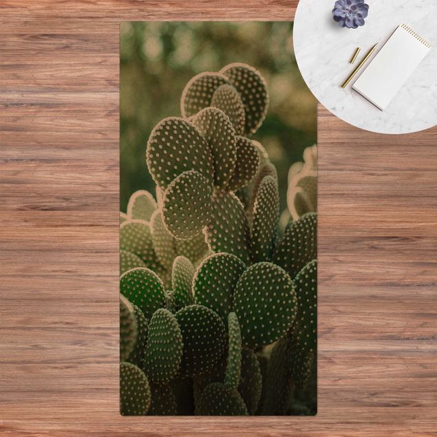 Tappeti moderni Cactus