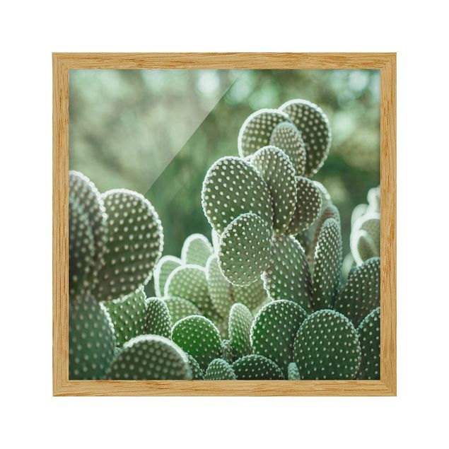 Poster con cornice - Cactus