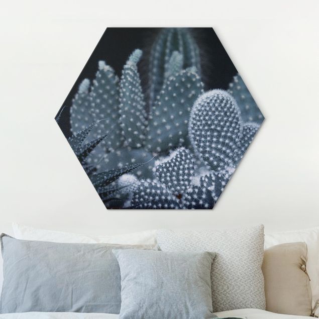 Esagono in Alluminio Dibond - Famiglia di cactus nella notte